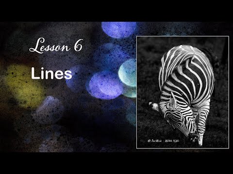 Image Design  Lesson 6   Lines