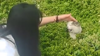 UNUSUAL MEMES COMPILATION V327