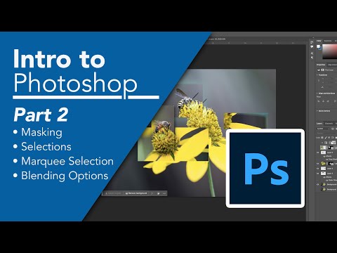 Photoshop Bootcamp for Beginners (Part 2): Create a Hockney inpsired photo, using selection tools