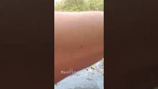 Mancing jaring #shorts
