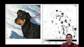 NVIDIA GTC 2025 - Demo 3: Using Captum for a Vision Classifier