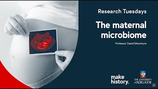 The maternal microbiome - Research Tuesdays July 2025