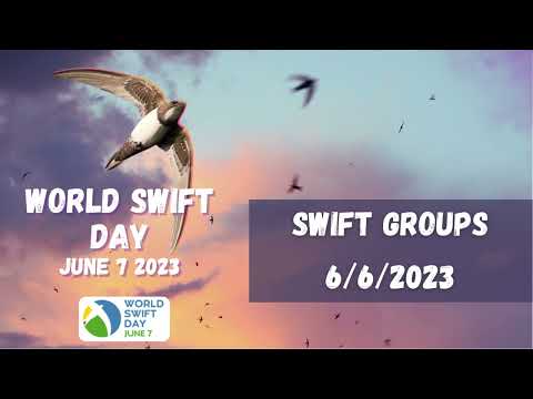 Swift Groups - World Swift Day
