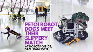 Robots on Ice Steal the Show 2024 | Featuring Petoi Robot Dog Bittle & Bittle X | PetoiCamp