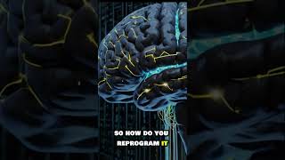 Reprogram Your Conscious & Subconscious Mind