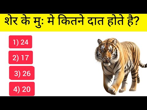 Hindi GK | GK Hindi | General Knowledge Question #gk #YouTube #gkfact #generalknowledge #viral