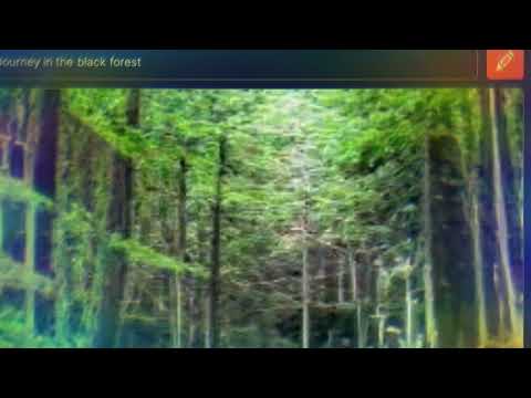 Viaje en el bosque