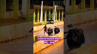 Yermal A #kambala #race #manglore #karkala #shorts #shortvideo #shortsfeed #latest #udupi #viral