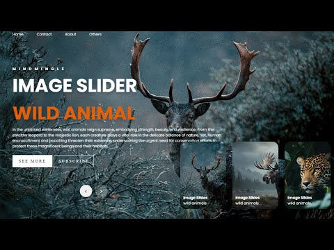 Create a  Image Slider amazing Effects Using HTML CSS And Javascript | #mindmingleindia | #project1