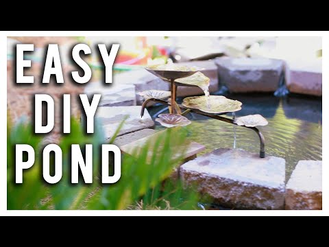DIY Pond