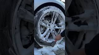 #pythonsofinstagram #snaketattoo #tattoo #snakelove #pythonregius #photography #serpent