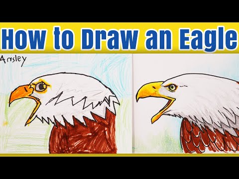 How To Draw A Bald Eagle Art Tutorial for Kids