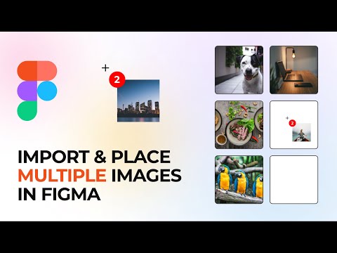 How to import and place multiple images at once in Figma  |  Figma tutorial for beginners  |  MrSid