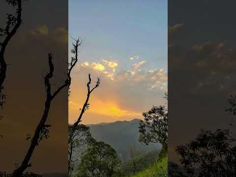 The sunset painted the sky with hues of orange and gold...🌄#shorts #ytshorts #nature