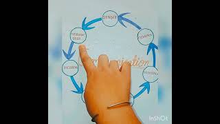 Communication cycle & its elements of communication cycle