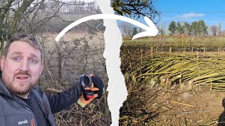 Fixing A Gap In A Hedge - Part 1 Basic Hedge Laying - Using The Materials In The Hedge