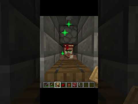 pov: a villager wont give you mending #minecraft #memes