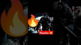 #shotsvideo #tikusberdasi #tikuskantor #sampahberkelas