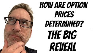 Here's The Scoop On How Option Prices Are Determined