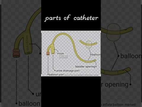 Parts,size,types,colour code of the urinary catheter#medicos#urinarycatheter#catheterization