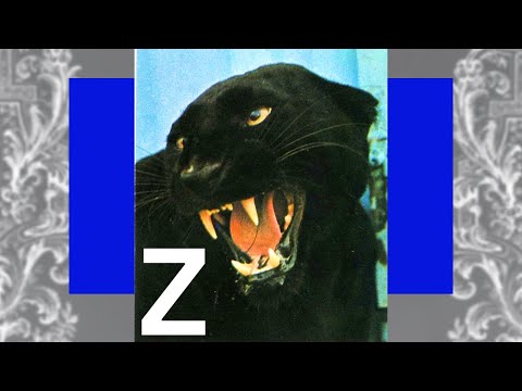 DAYZOFNOAH Muzak - The Z Tape  [Live Audio Visualizer]