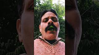 #Asian#Koel#bird#sound #viralvideo🐦#shorts