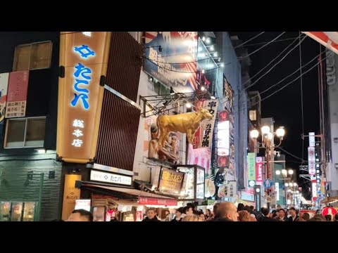 Osaka Dotonbori Night Walk #dotonbori #osaka #kyoto #nara #japan #shopping