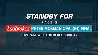 TheDogs Live Stream - 2021 Ladbrokes Peter Mosman Opal