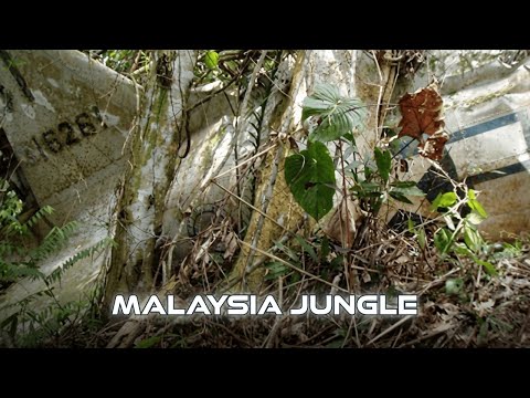Recovering C-47B 43-16261 Dakota: Operation Gahngguh Malaysia Jungle