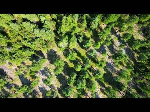 311 Bigfoot Rd. Newport, WA 99156