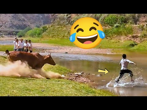 Hilarious & Silly Moments That’ll Make You Laugh Till It Hurts 😂🤣 Funny Video 2025 #3