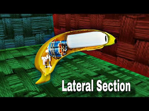 How a Banana Works-Organic Machine