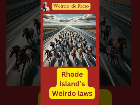 Weirdo laws of Rhode Island #weirdfact #rhodeisland #shorts