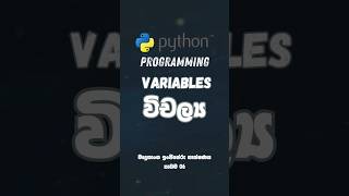 පයිතන් විචල්‍යය| Understanding Variables & Assignment Statements: Coding Basics  @sampnetofficial