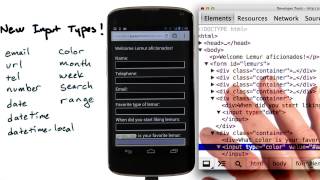 New input fields - Mobile Web Development