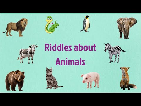 Riddles about animals