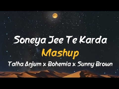 Soneya Jee Te Karda Mashup | Slowed Reverb | Talha Anjum x Bohemia x Sunny | Music Vibes