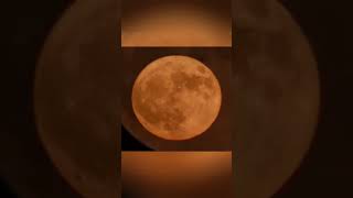 Rare Super Blue Moon - August 19, 2024 🌕✨