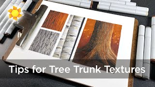 How to Draw Tree Trunk Bark Textures