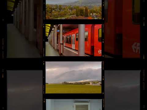 Autumn In Bern, Switzerland  #switzerland #autumn