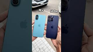 iPhone 16 Plus Vs iPhone 14 Pro Max || Camera Zoom Test! #shorts