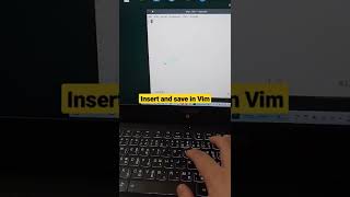 Insert and save in Vim