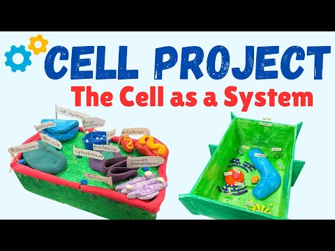 The Cell Project | Understanding the Cell as a System
