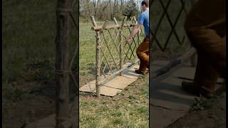 The Best Way to Upcycle Pruned Branches Into a Free Garden Trellis #garden #diy #shorts