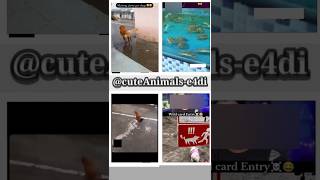 cute animals funny video trending shorts 😍PT-45 #cuteanimalsfunnyvideos​ #funnycomedyshorts #funnyl