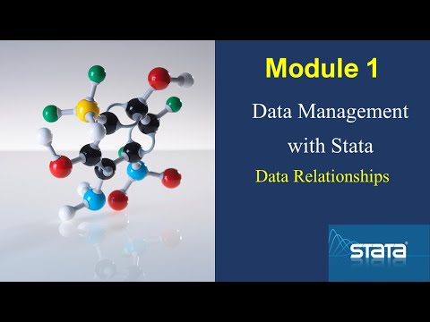 Understanding Data Relationships
