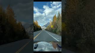 Joyful drive & peaceful balcony views  #nature #travelvlog