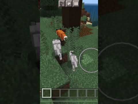 Two wolves chase fox #minecraft