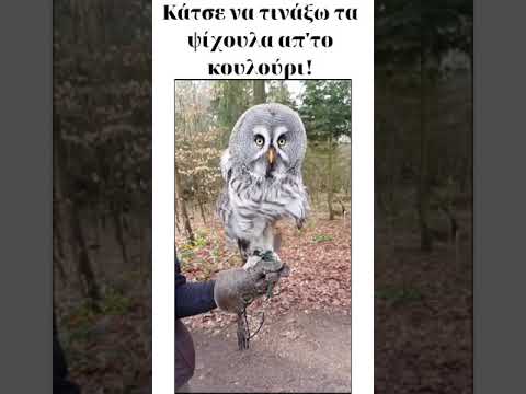 Κάτσε να τινάξω τα ψίχουλα απ'το κουλούρι!
