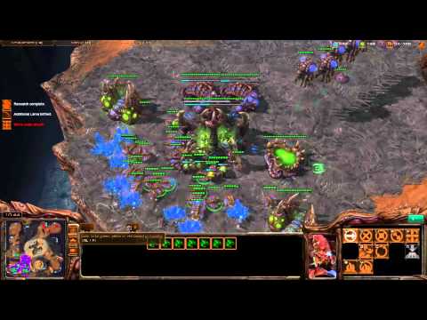 NightHawK (Z) vs wpgJets (P) - Starcraft II NA Ladder